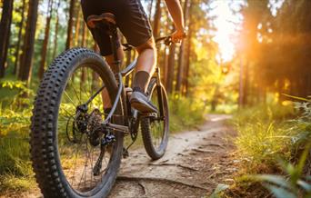 Go Wild Camping Thetford - mYminiBreak