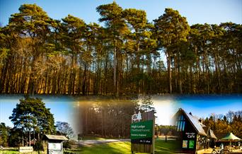 Go Wild Camping Thetford - mYminiBreak