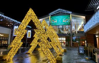 Twinkling Trio of Tree on Chantry Square, Norwich