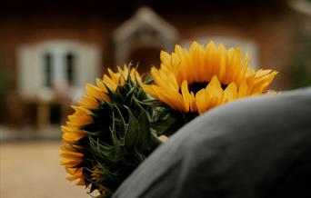 Farmers Market Norfolk