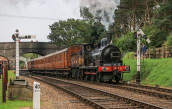 Poppy Line's 112 year old engine hauls a train of 100 year old carriages!