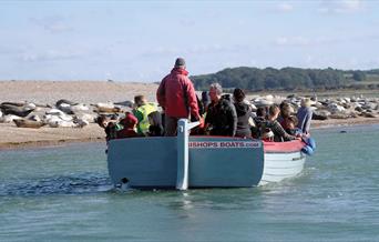 Bishops Boats Seal Trips