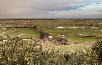 Blakeney Freshes Coastal Walk