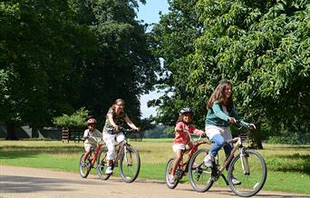 Holkham Cycle Hire