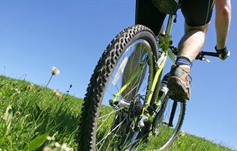 Sea Palling Cycle Hire