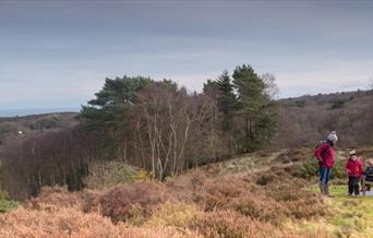 National Trust West Runton & Beeston Regis Heath