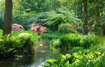 Hoveton Hall Gardens