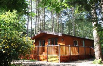 Kelling Heath Woodland Lodge