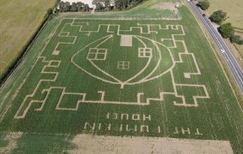 Maize Maze at The Pumpkin House