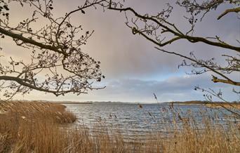 NWT Hickling Broad