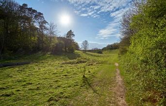 NWT Ringstead Downs