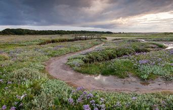Stiffkey Marshes