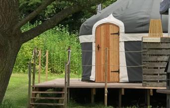 The Grove Glamping