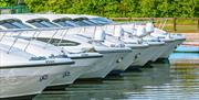 Richardson's Cruisers at Stalham Marina