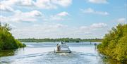 Cruiser in the Broads National Park