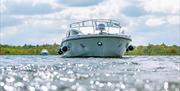 Cruiser in the Broads National Park