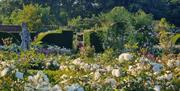 Wonderful rose parterre at Houghton Hall Walled Garden in Norfolk