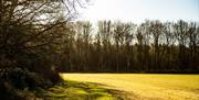 Go Wild Camping Thetford - mYminiBreak