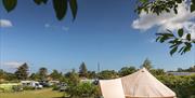 Range of pitch sizes at Deepdale Camping & Rooms