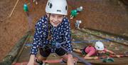 Climbing Wall