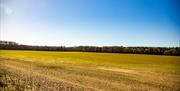 Go Wild Camping Thetford - mYminiBreak