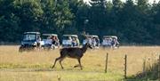 Watatunga Wildlife Reserve