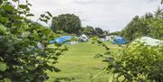 Baconsthorpe Meadows Campsite