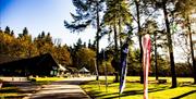 Go Wild Camping Thetford - mYminiBreak
