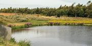 Nest Farmhouse pond