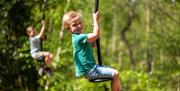 Zip Lines at BeWILDerwood Norfolk