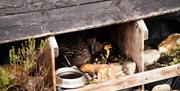 Norfolk Accommodation - mYminiBreak