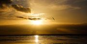 Hunstanton Camping - mYminiBreak