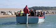 Bishops Boats - Seal Trips