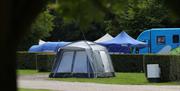 Camping Pitches at Deer's Glade