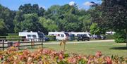Caravan pitches at Deer's Glade