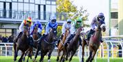 Horse racing at Fakenham Racecourse - passing the Prince of Wales Stand