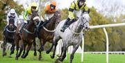 Horses and jockeys heading round the corner into the home straight at Fakenham Racecourse