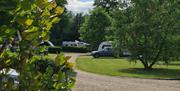 Deer's Glade Camping and Caravan Park