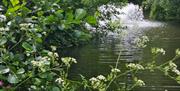 Deer's Glade Fishing Lake