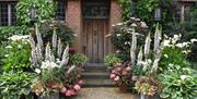 East Ruston Old Vicarage Garden