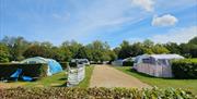 Electric Pitches for Camping and Caravanning Deer's Glade