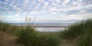 Explore the dunes on Holkham Beach