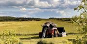 Go Wild Camping Thetford - mYminiBreak