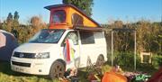 Go Wild Camping Thetford - mYminiBreak