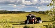 Go Wild Camping Thetford