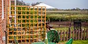 Meadowview Cottage, side patio