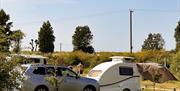 Hunstanton Camping - mYminiBreak