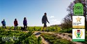 Walking locally at Deepdale Camping & Rooms on the beautiful North Norfolk Coast