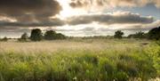 NWT Hickling Broad