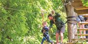 High Ropes Course in Holkham Park